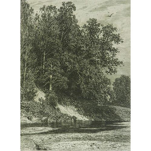 Офорт И.И.Шишкина «Лес на крутом берегу» 1880
