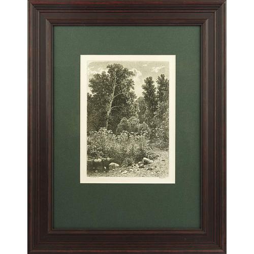 Офорт И.И.Шишкина «Опушка» 1885