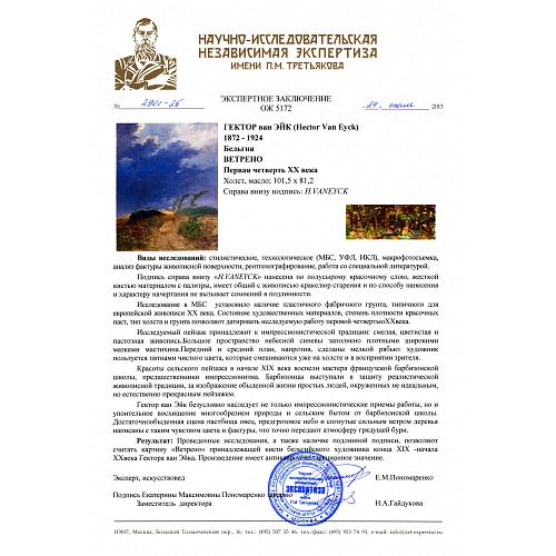 Экспертное заключение НИНЭ имени П.М. Третьякова