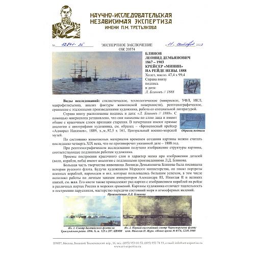 Экспертное заключение НИНЭ им. П.М.Третьякова