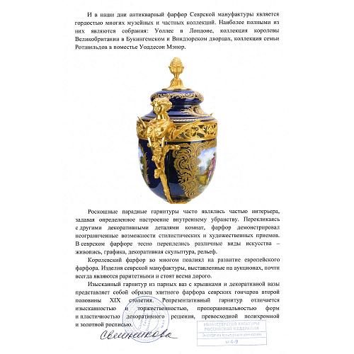 Экспертное заключение МК РФ Свешниковой Г.В