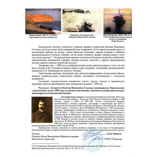 Экспертное заключение НИНЭ им. П.М.Третьякова