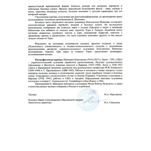 Экспертное заключение НИНЭ им. П.М.Третьякова.