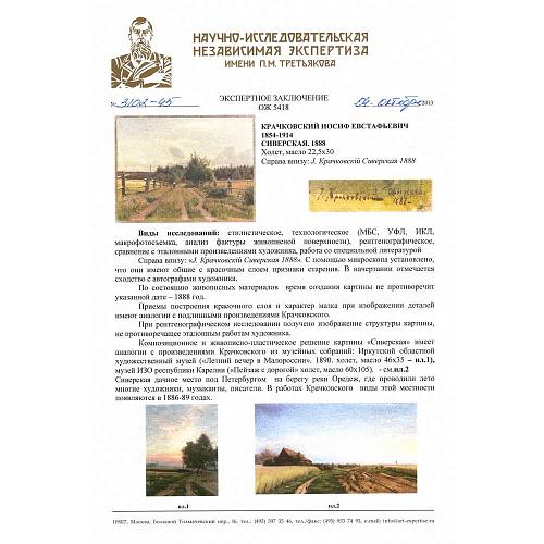 Экспертиза НИНЭ им. П.М.Третьякова.