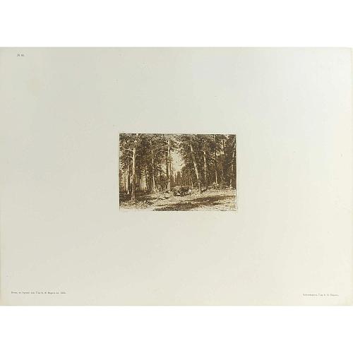 Офорт И.И.Шишкина «Окраина сосновой рощи» 1876
