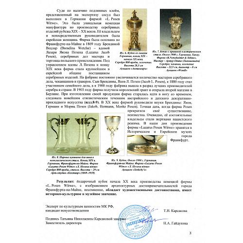 Экспертное заключение НИНЭ им. П. М. Третьякова.