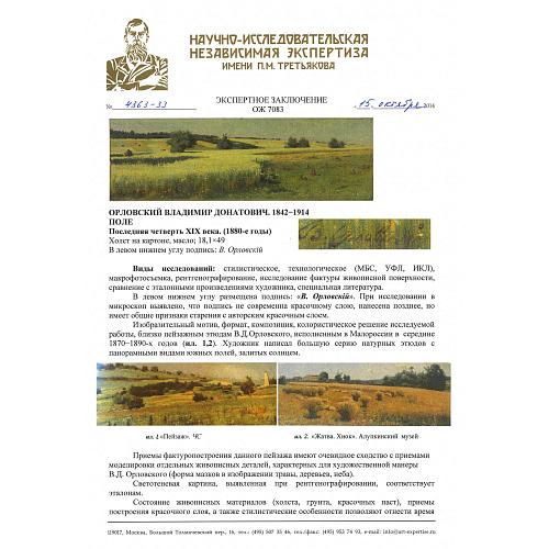 Экспертное заключение НИНЭ им. П.М.Третьякова
