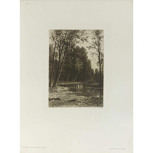 Офорт И.И.Шишкина «Затишье» 1885