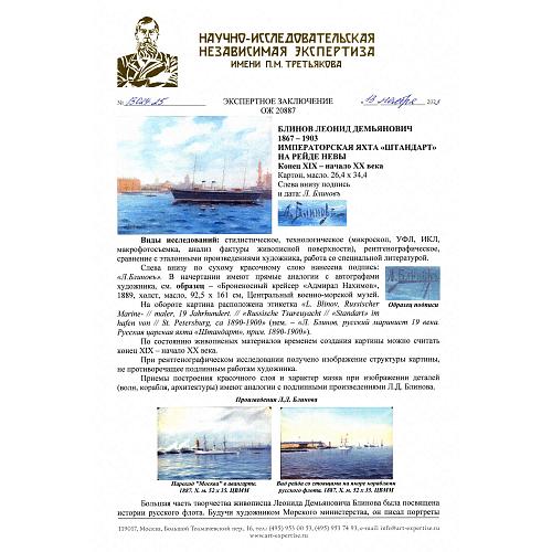Экспертное заключение НИНЭ им. П.М.Третьякова