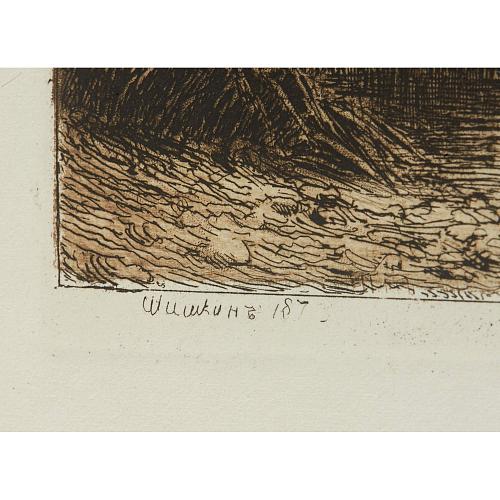 Офорт И.И. Шишкина «За ручьем»