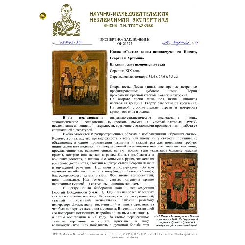 Экспертное заключение НИНЭ им. П.М. Третьякова.