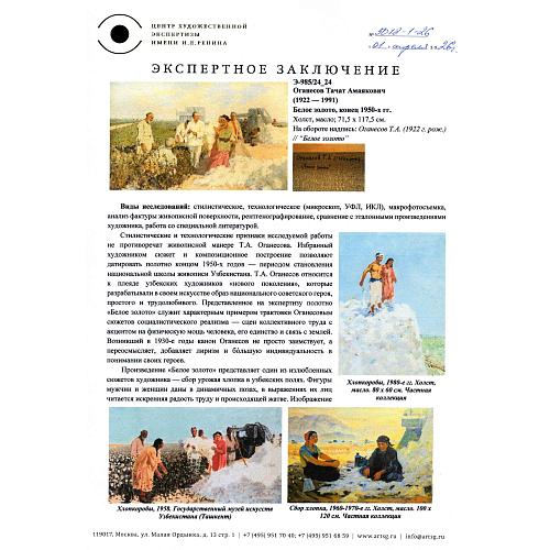 Экспертное заключение