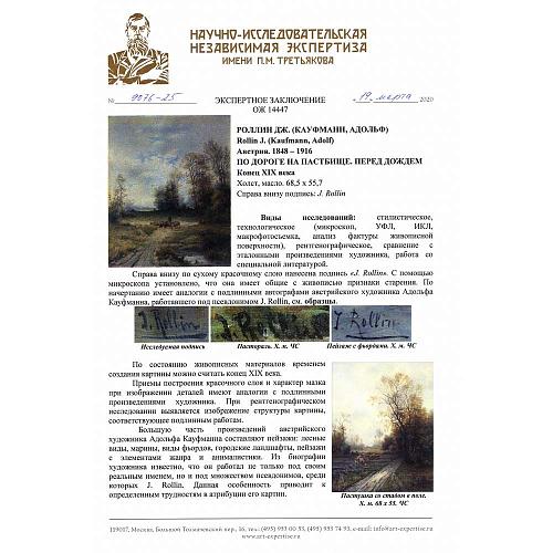 Экспертное заключение НИНЭ им. П.М. Третьякова