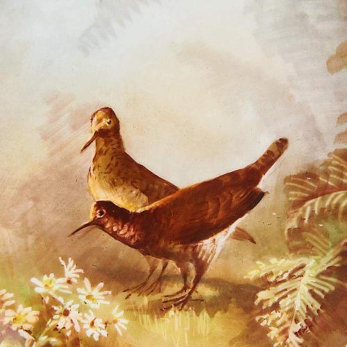 Тарелка "Кулики"