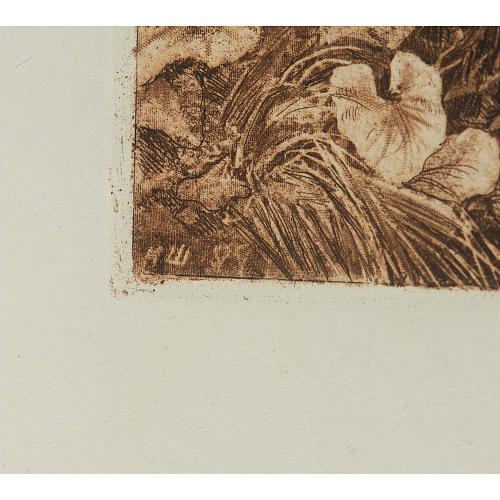 Офорт И.И.Шишкина «Белые цветы» 1880