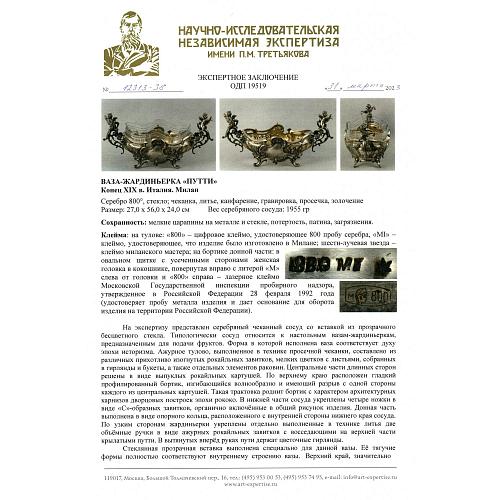 Экспертное заключение НИНЭ им. П.М.Третьякова