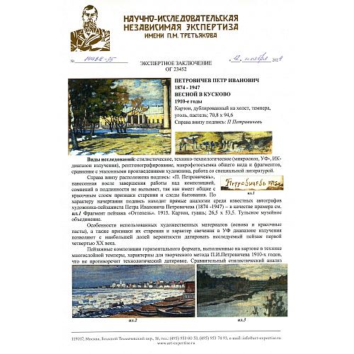 Экспертное заключение НИНЭ им. П. М. Третьякова.