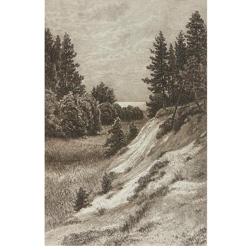 Офорт И.И.Шишкина «В Сестрорецке» 1886