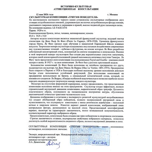 Экспертное заключение