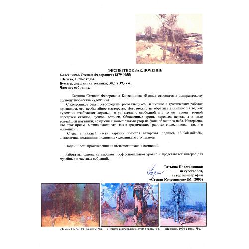 Экспертное заключение: Татьяна Подстаницкая.