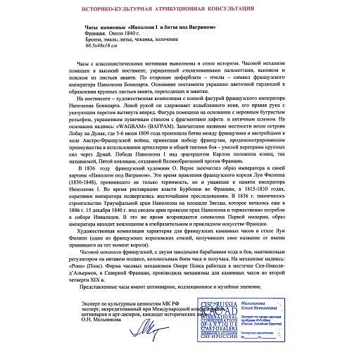 Экспертное заключение МК РФ О.Н. Мельникова