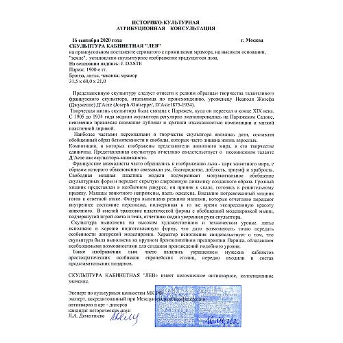 Экспертное заключение МК РФ Дементьева Л.А.