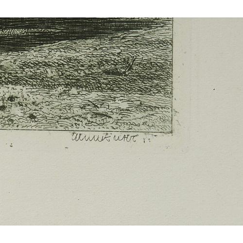 Офорт И.И.Шишкина «Лес на крутом берегу» 1880