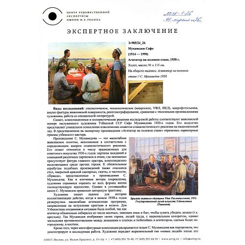 Экспертное заключение