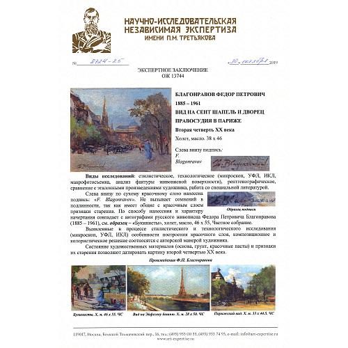 Экспертное заключение НИНЭ имени П. Третьякова.