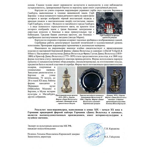 Экспертное заключение НИНЭ