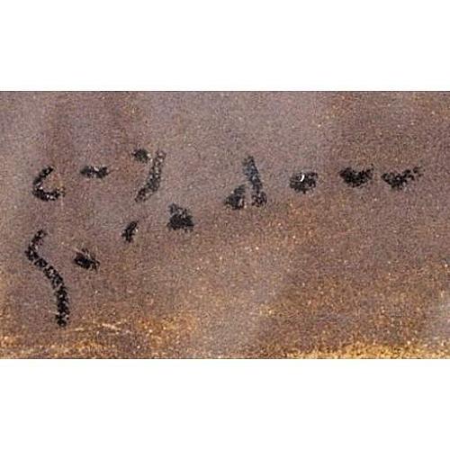 Картина "Балерина перед зеркалом".