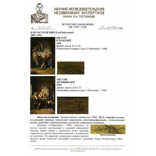 Экспертное заключение НИНЭ им П.М.Третьякова