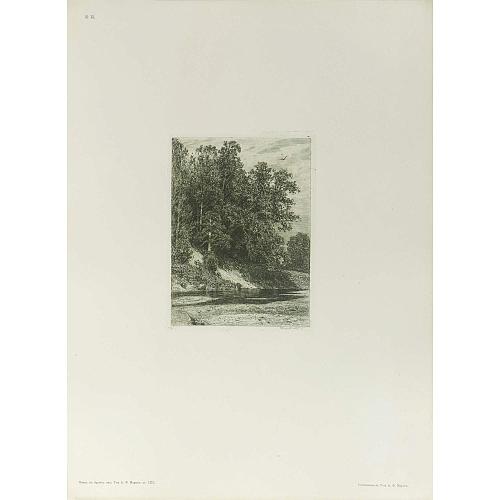 Офорт И.И.Шишкина «Лес на крутом берегу» 1880