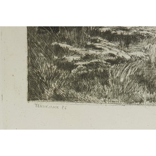 Офорт И.И.Шишкина «Папоротник» 1886