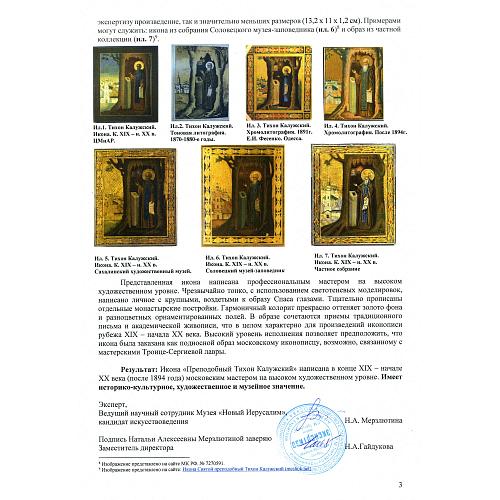 Экспертное заключение НИНЭ им. П.М.Третьякова