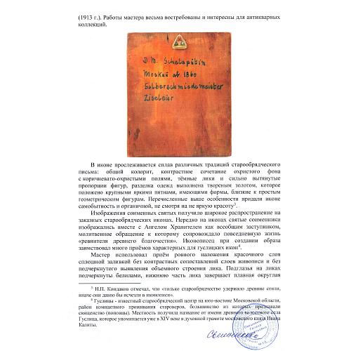 Экспертное заключение МК РФ Свешниковой Г.В