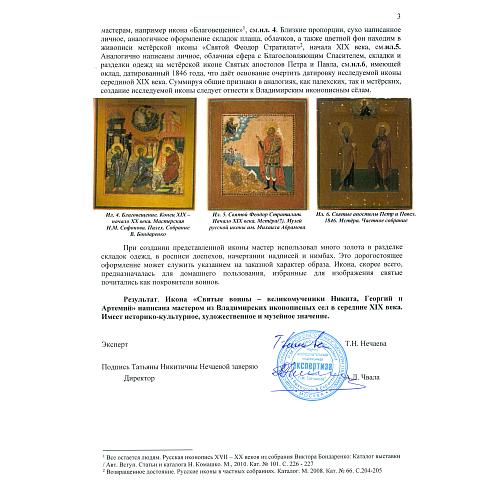 Экспертное заключение НИНЭ им. П.М. Третьякова.