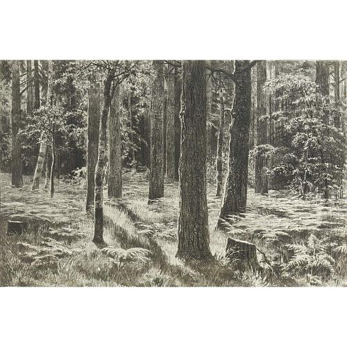Офорт И.И.Шишкина «Папоротник» 1886