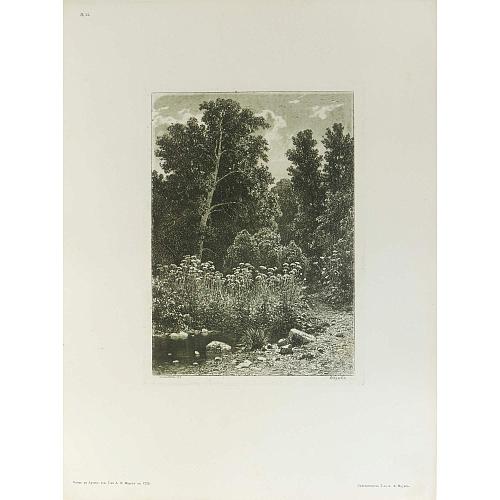 Офорт И.И.Шишкина «Опушка» 1885