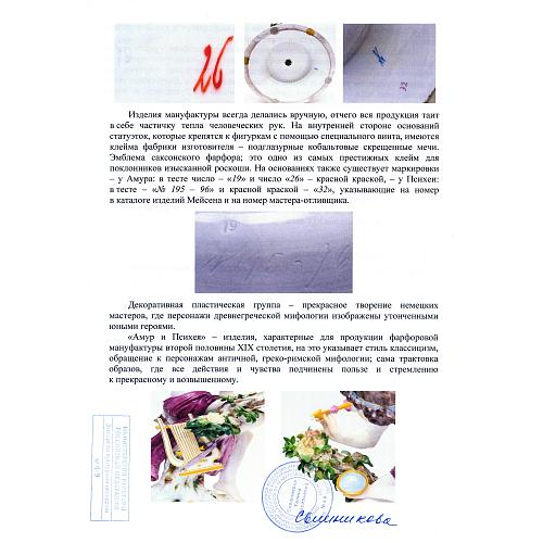 Экспертное заключение