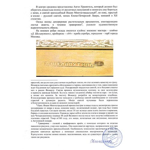 Экспертное заключение МК РФ Свешниковой Г.В