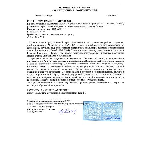 Экспертное заключение МК РФ Дементьева Л.А.