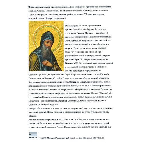 Экспертное заключение НОЭКСИ