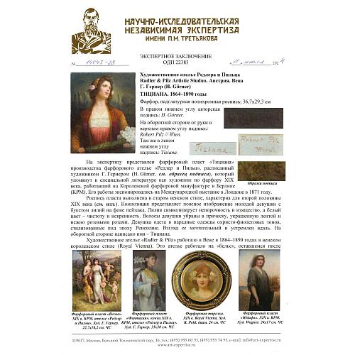 Экспертное заключение НИНЭ имени П.М. Третьякова.