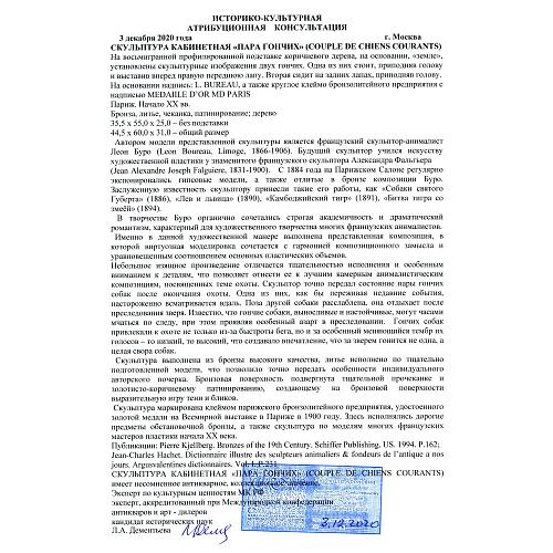 Экспертное заключение МК РФ Дементьева Л.А.