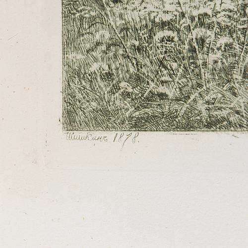 Офорт И.И.Шишкина «На лесной меже» 1878