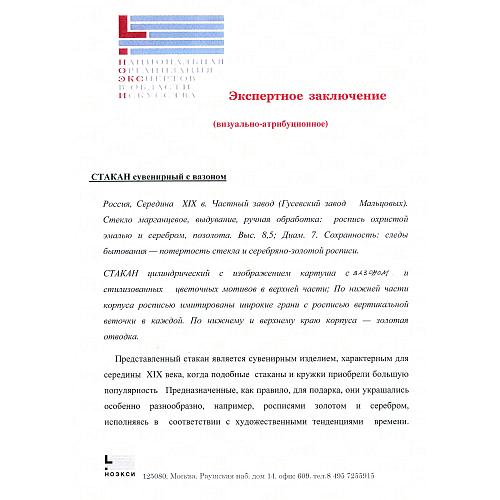 Экспертное заключение НОЭКСИ