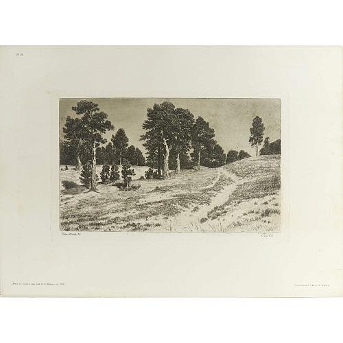 Офорт И.И.Шишкина «Пески» 1886