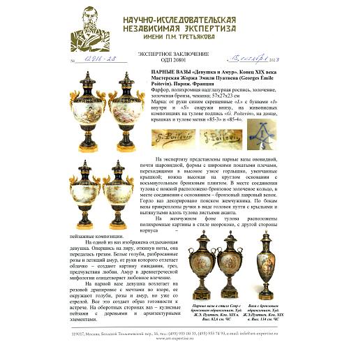 Экспертное заключение НИНЭ им. П.М. Третьякова