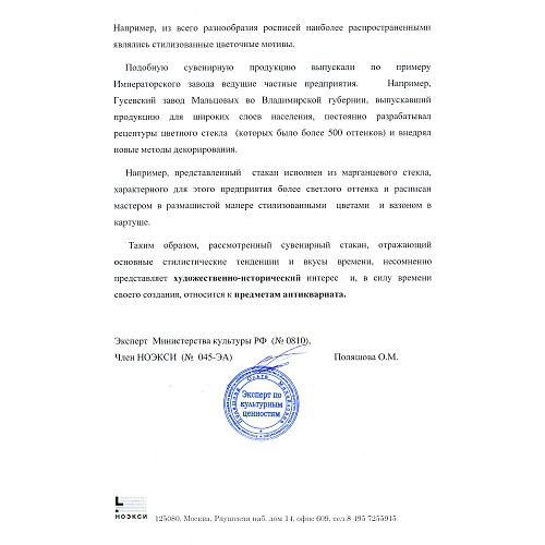 Экспертное заключение НОЭКСИ